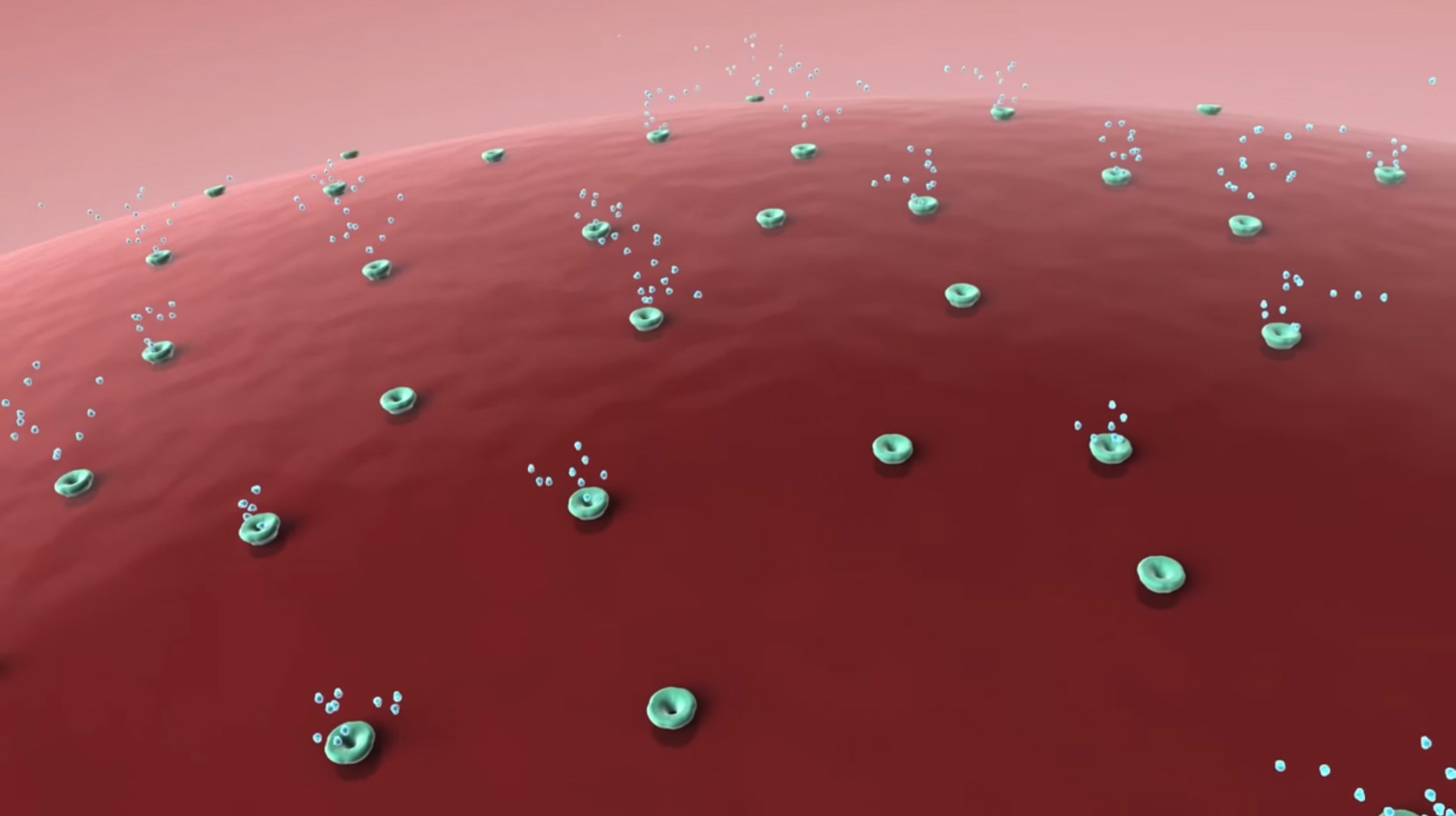 Plate From 3D Animation Showing Activity Of Aquaporins